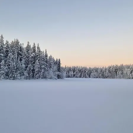 Pensionat Lapland Old School Muonio