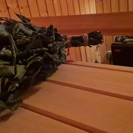 Πανσιόν Lapland Old School
