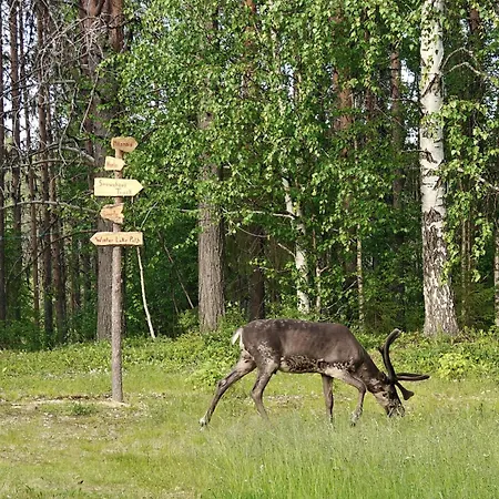 Lapland Old School Gæstehus *