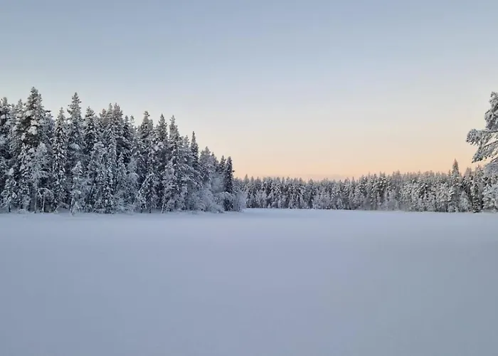 בית הארחה Lapland Old School מואוניו