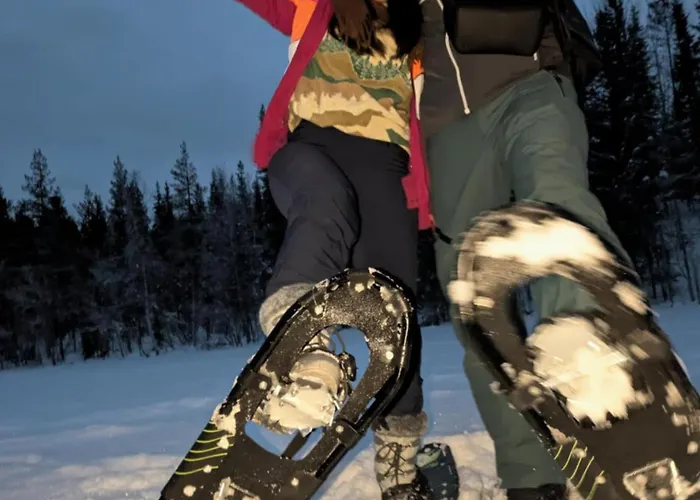 Lapland Old School *