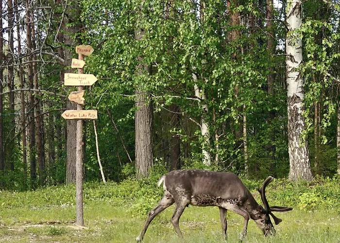 Lapland Old School בית הארחה *